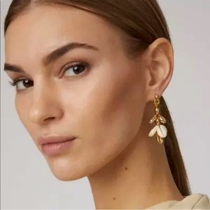 TOHUM Anthropologie pukka shell 🐚 gold dangle earrings